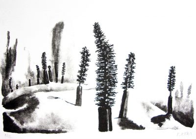 Untitled (Mascara Forest), stone lithography, 6.5 x 8.5 inches (stone area), 2013 by Kathy Aoki